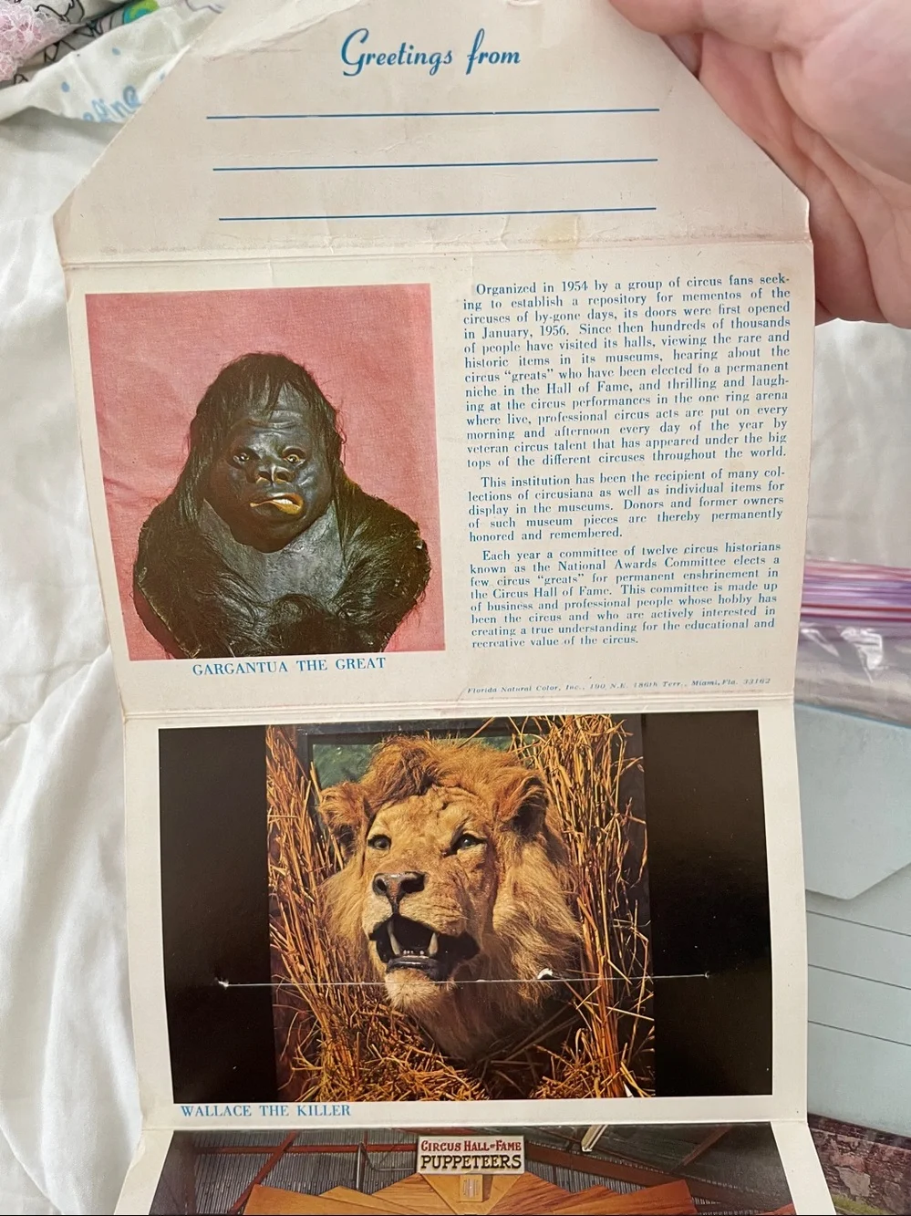 Bundle of Post card Books